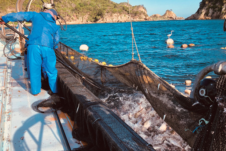 こんな時だからこそ、できることを。生産者は、いま―。 2ページ目