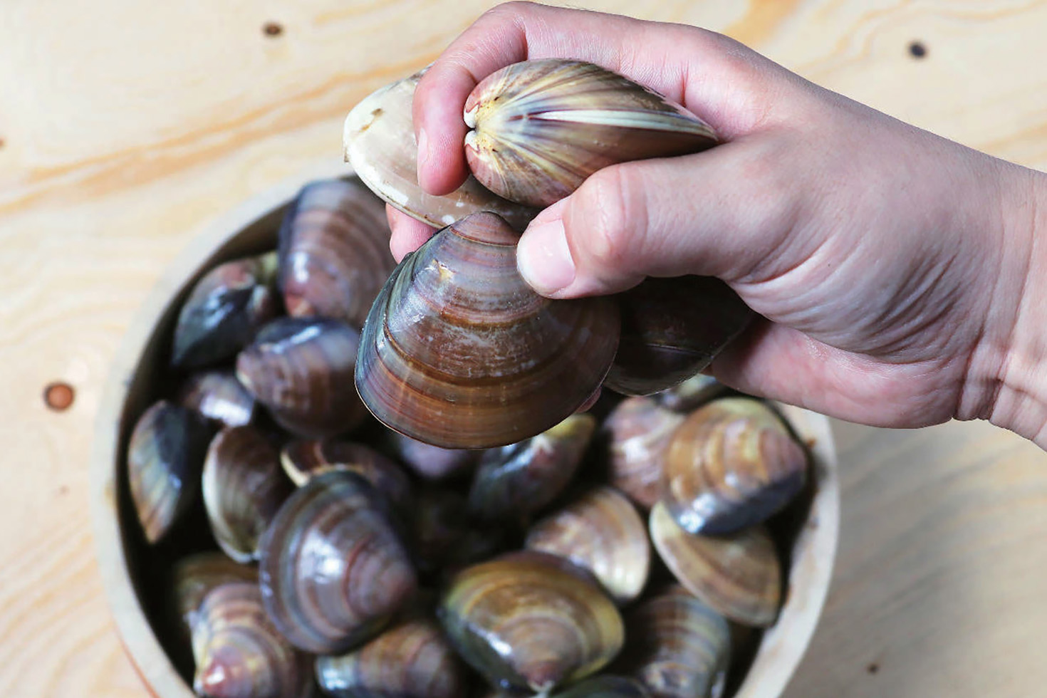 手頃な価格のアワビやハマグリが好評で 昼夜通した集客に成功 ぐるなびpro