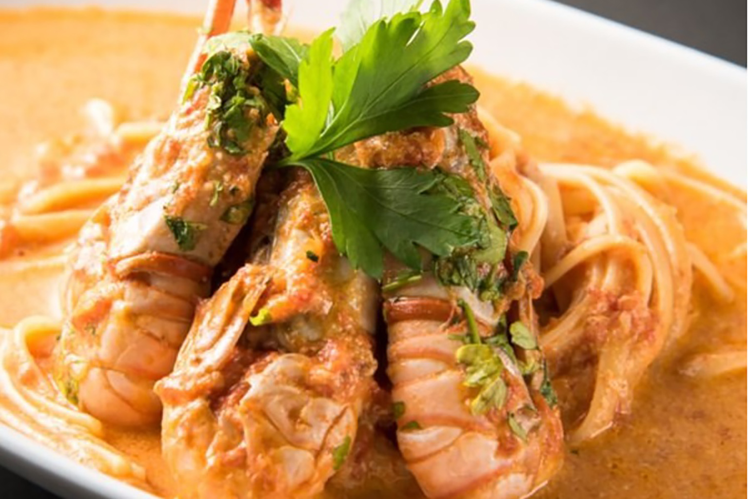 多彩なコースや選べるランチで、家族の食事から宴会まで幅広く獲得