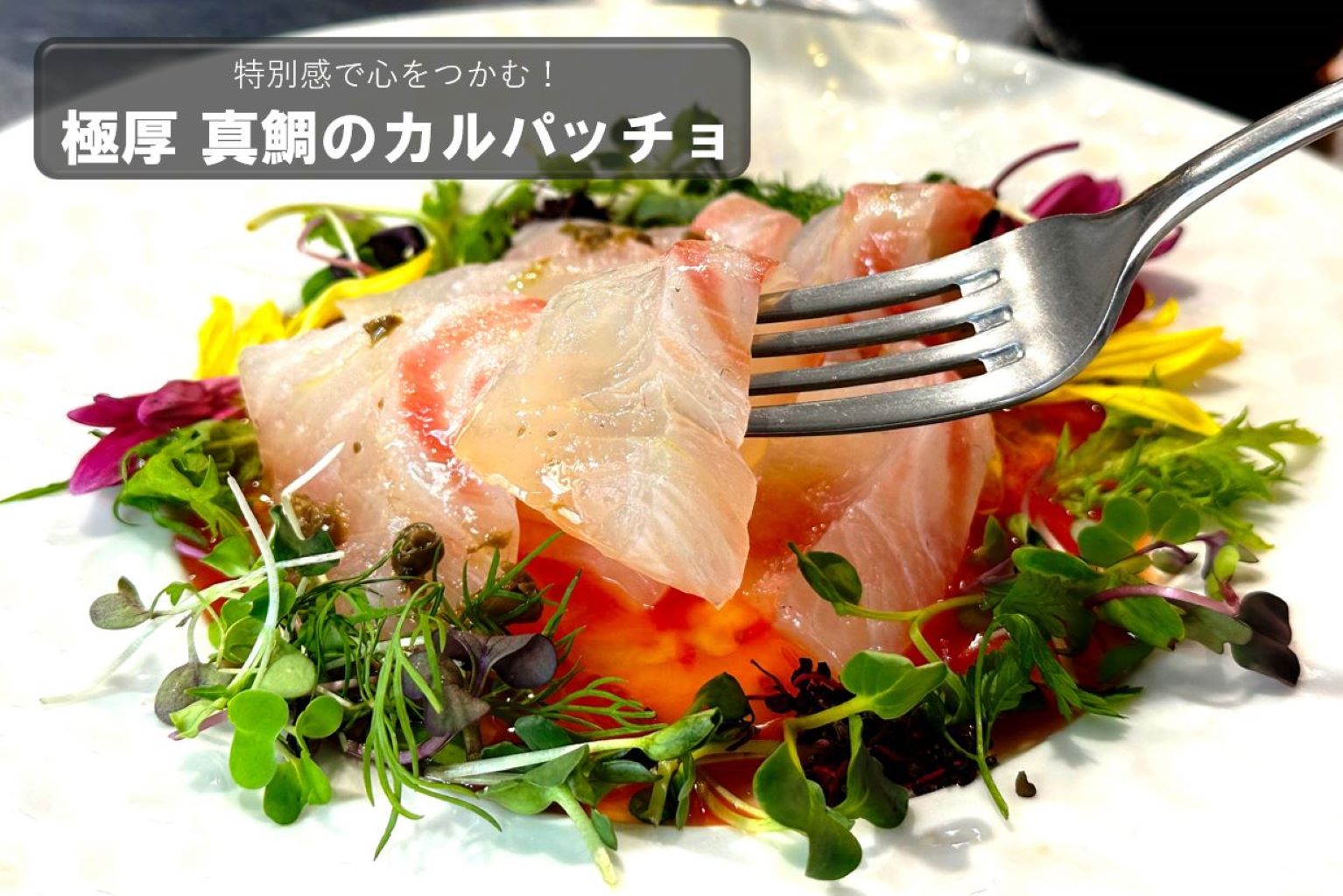 カルパッチョ と は