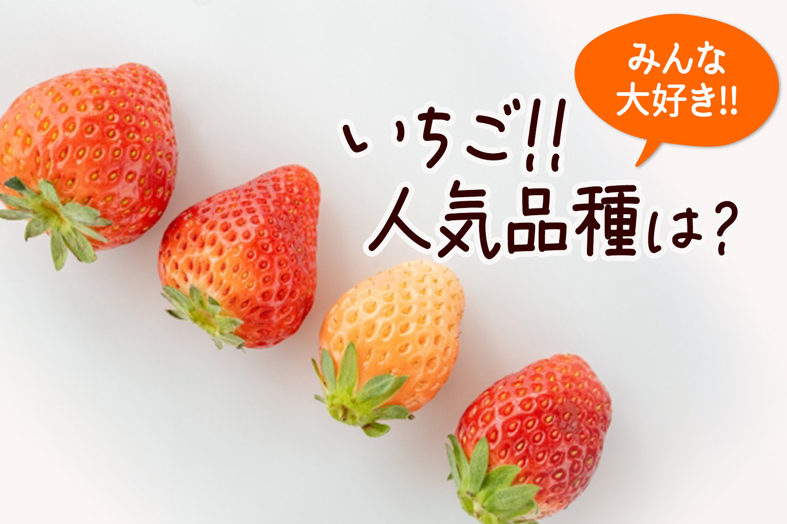 いちご｜日本の品種改良のトレンドと飲食店スイーツ用人気品種特徴
