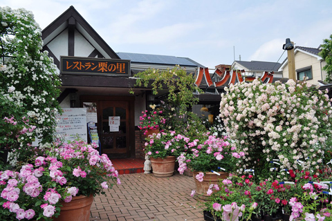 米農家直営店としてスタートし バラ園でも知られる人気店とは ぐるなび通信